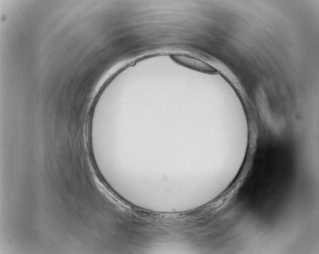 X0000059060958200510281629