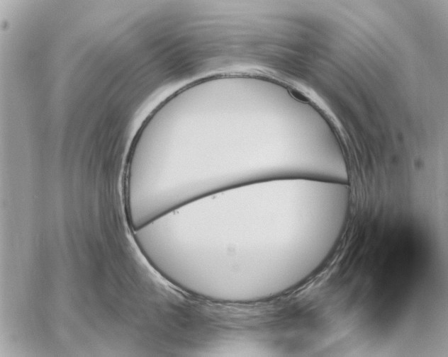 X0000059060959200510281629