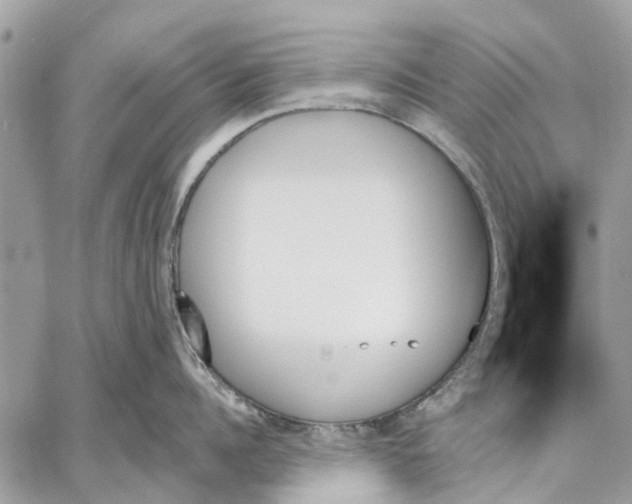 X0000059060960200510281629