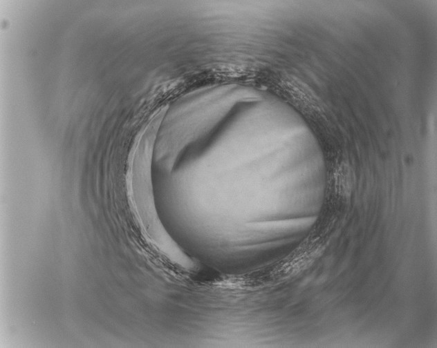 X0000059060961200510281628