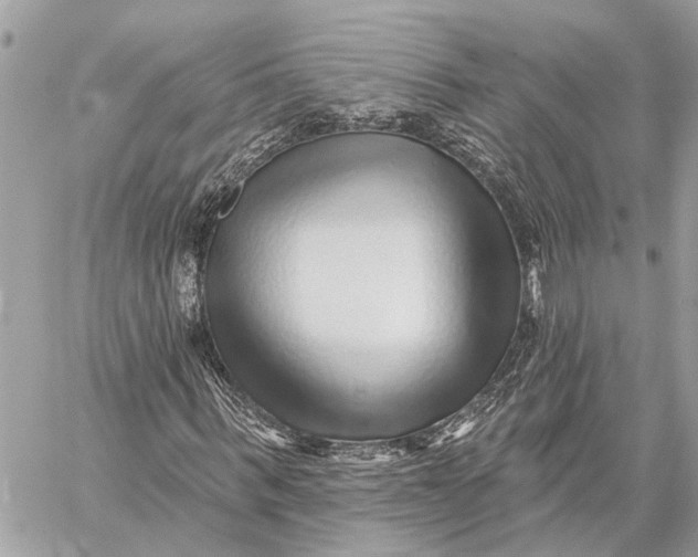 X0000059060963200510281628