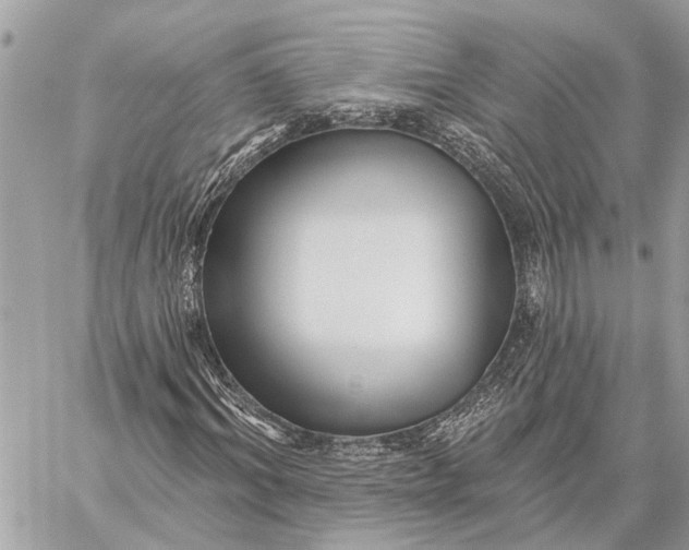 X0000059060964200510281628