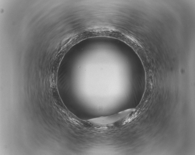 X0000059060965200510281628