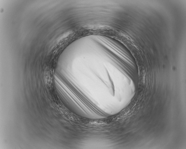 X0000059060966200510281628