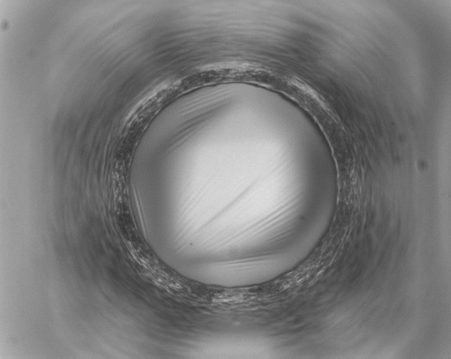 X0000059060967200510281628