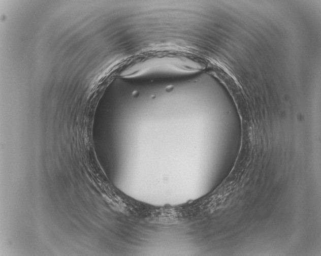 X0000059060968200510281628