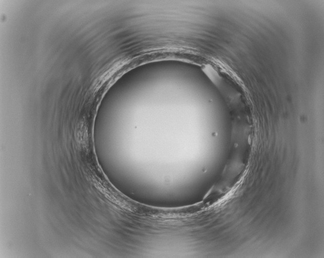 X0000059060969200510281628