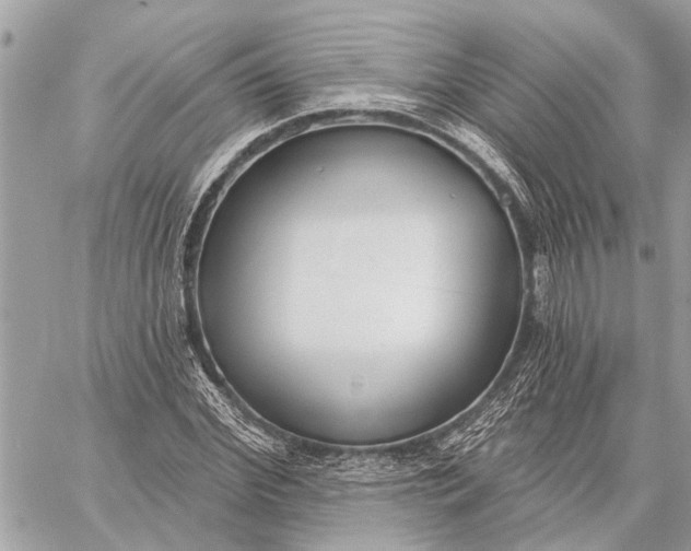 X0000059060972200510281628