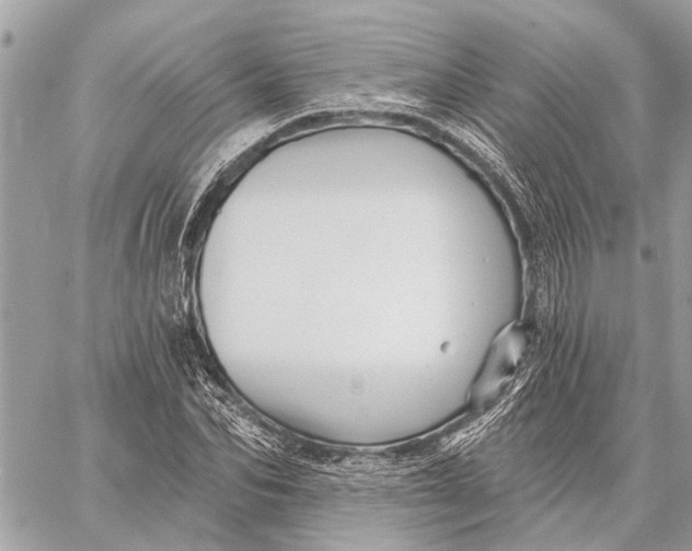 X0000059060974200510281628