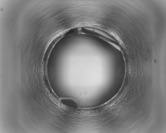 X0000059060976200510281628