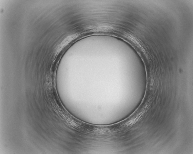 X0000059060978200510281628