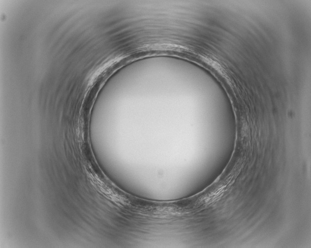 X0000059060979200510281628