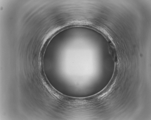 X0000059060981200510281628