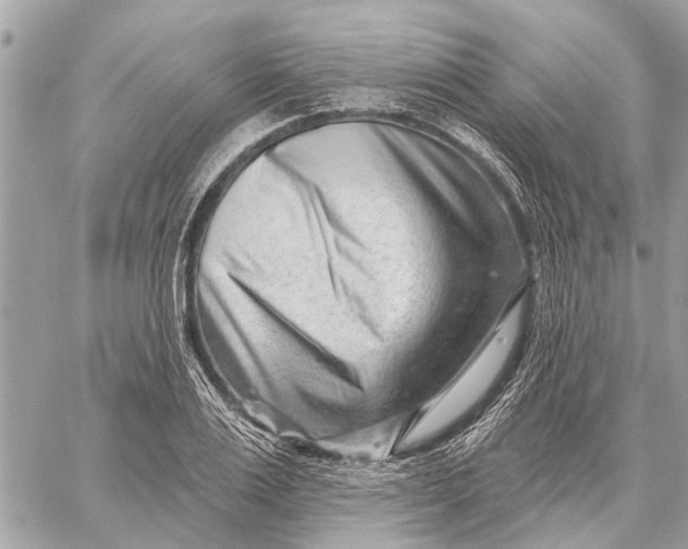 X0000059060983200510281628