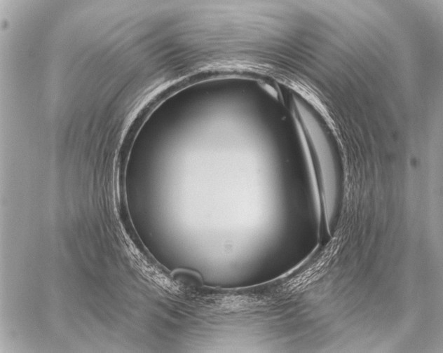 X0000059060984200510281628