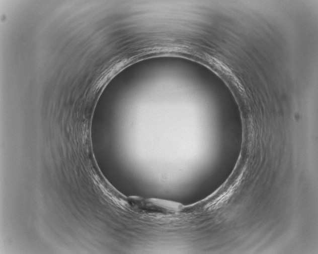 X0000059060985200510281628