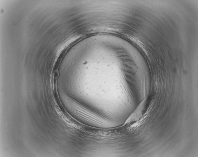 X0000059060987200510281628