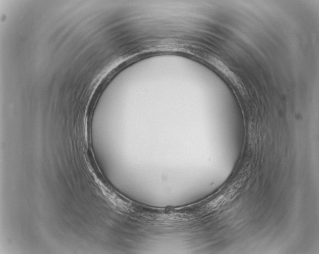 X0000059060988200510281628