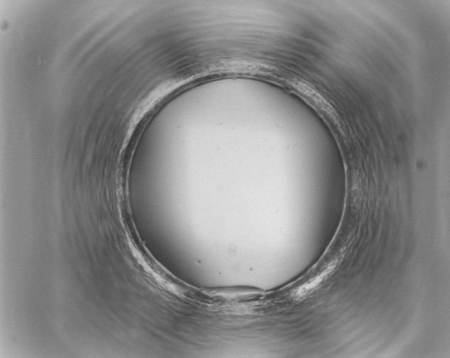 X0000059060989200510281628