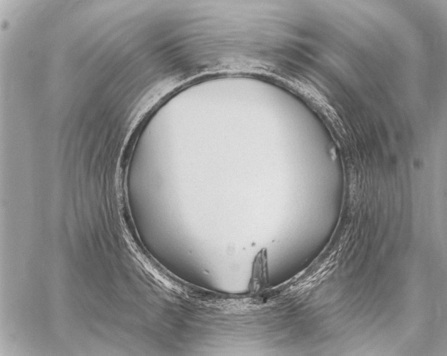 X0000059060990200510281628