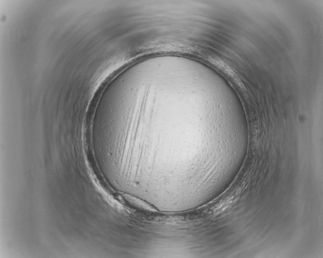 X0000059060991200510281628