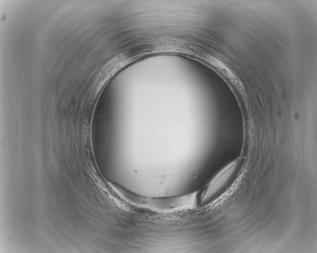 X0000059060993200510281628