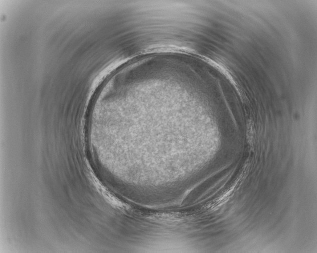 X0000059060995200510281628