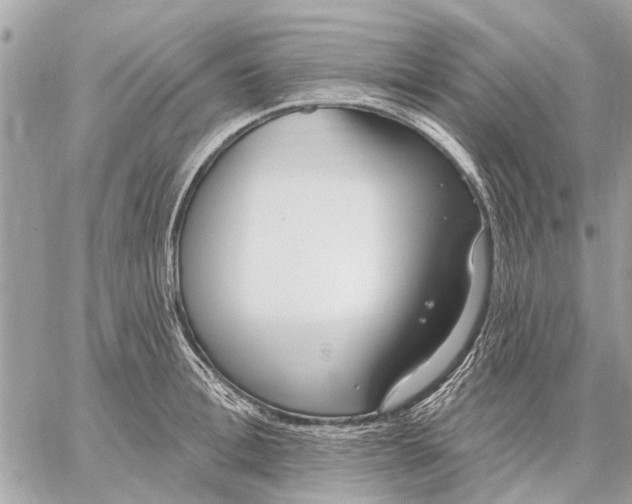 X0000059060996200510281628