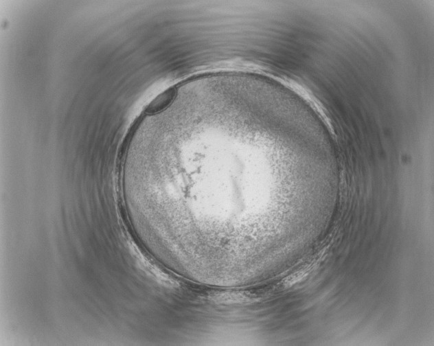 X0000059060998200510281628