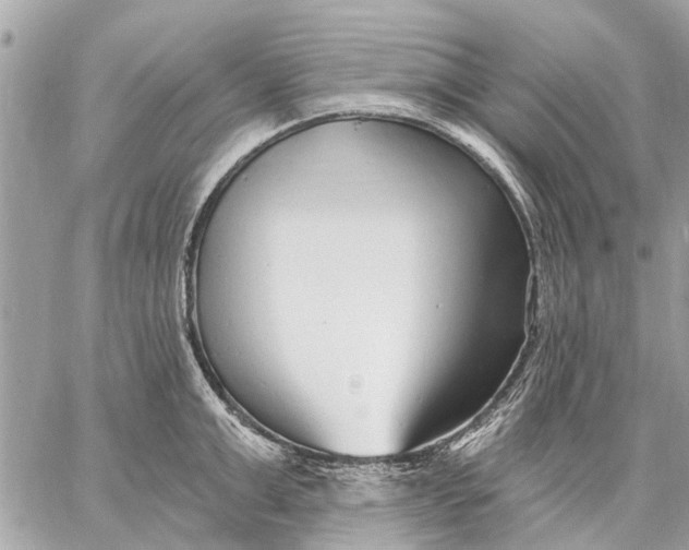 X0000059060999200510281628