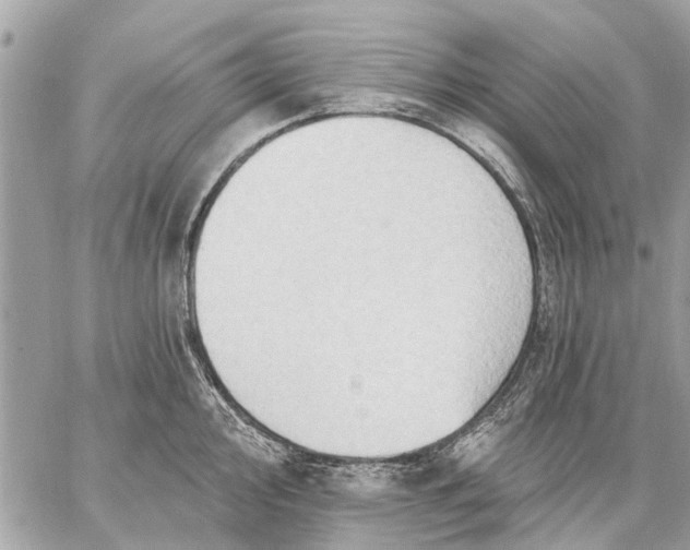 X0000059061000200510281628