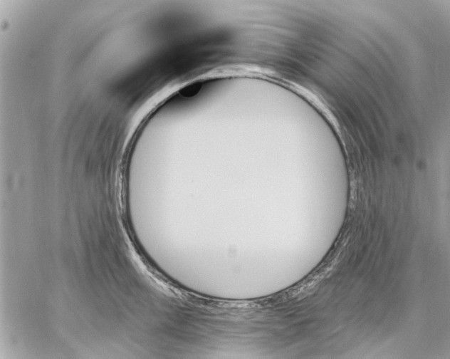 X0000059061003200510281628