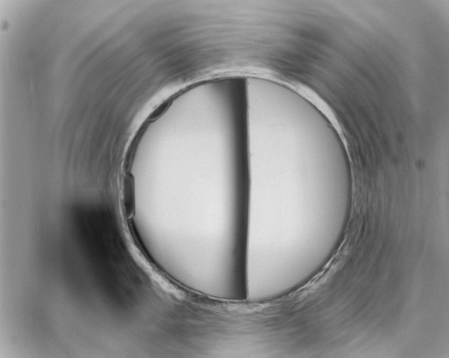 X0000059061005200510281628