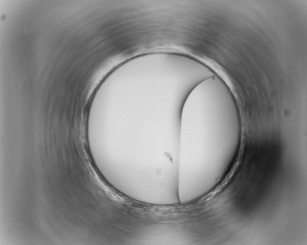 X0000059061006200510281628