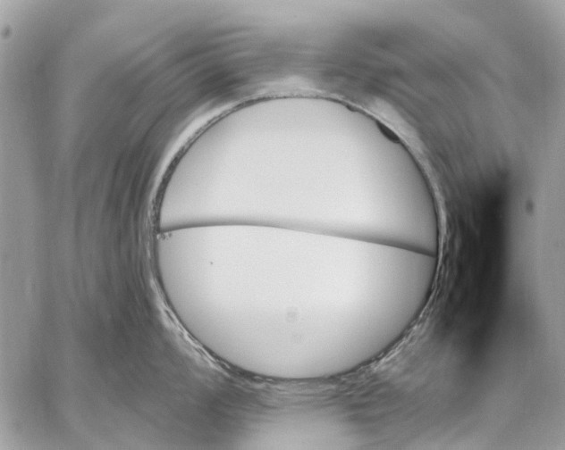 X0000059061008200510281628