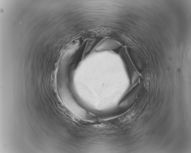 X0000059061010200510281627