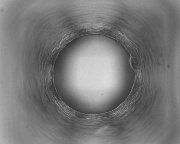 X0000059061012200510281627