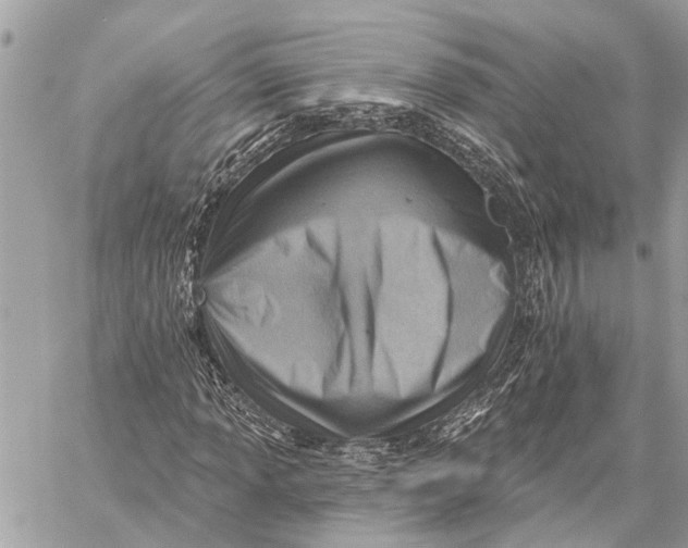 X0000059061013200510281627