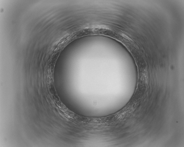 X0000059061014200510281627