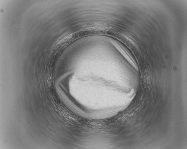 X0000059061015200510281627