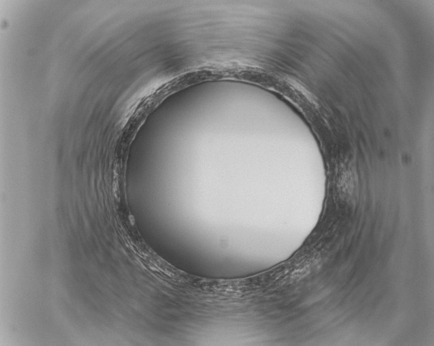 X0000059061016200510281627