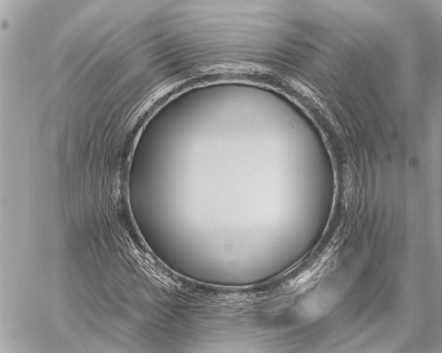 X0000059061017200510281627