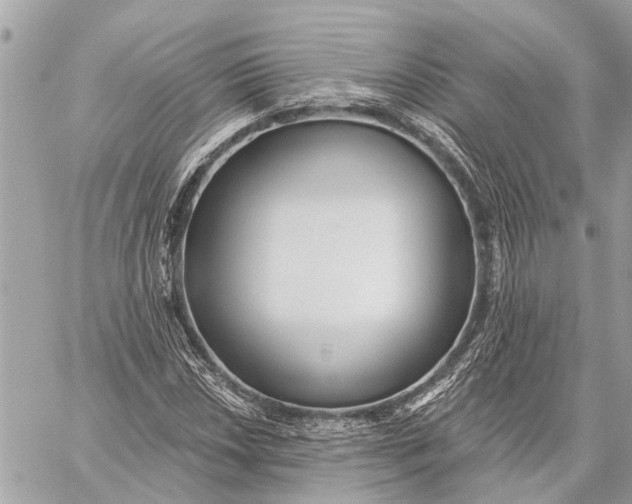 X0000059061018200510281627