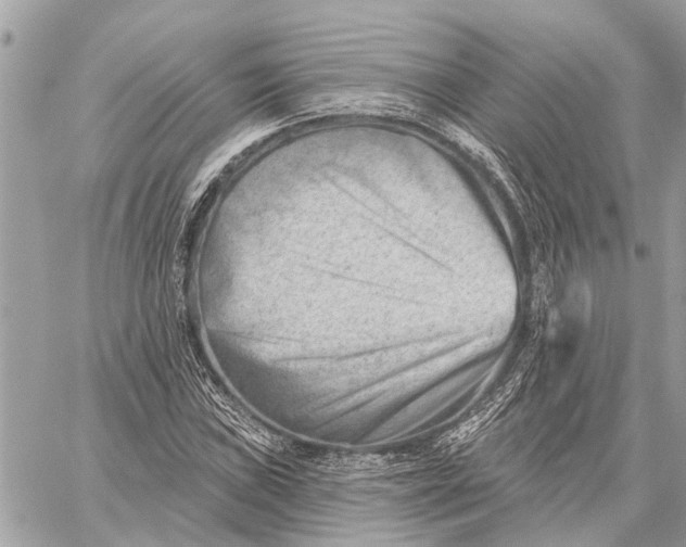 X0000059061019200510281627