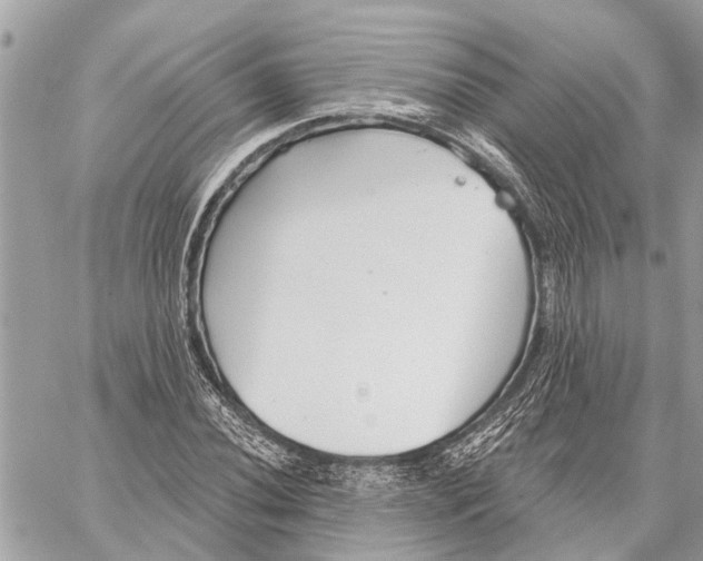 X0000059061020200510281627