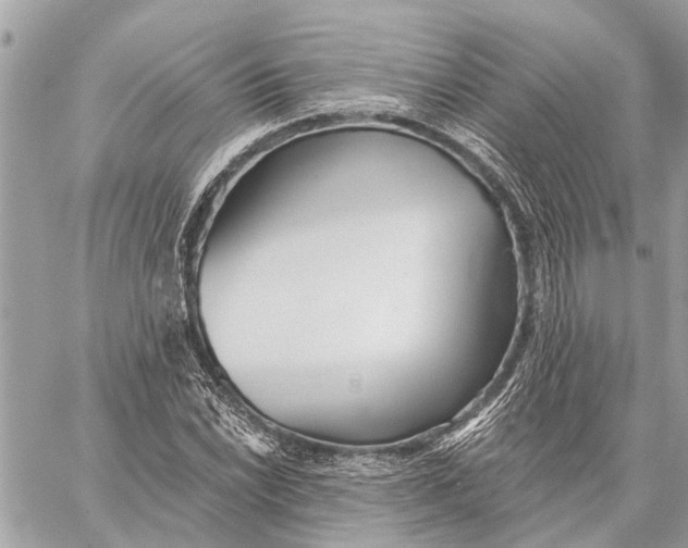 X0000059061022200510281627