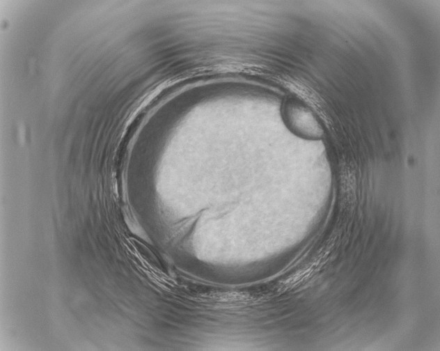 X0000059061023200510281627