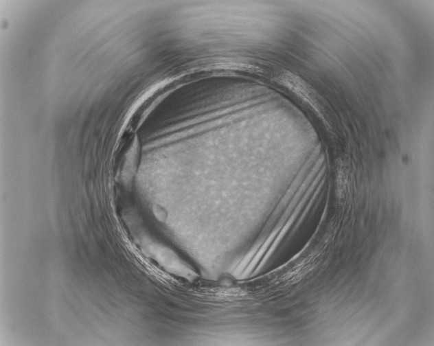 X0000059061024200510281627