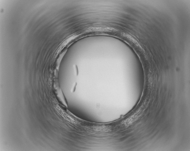 X0000059061025200510281627