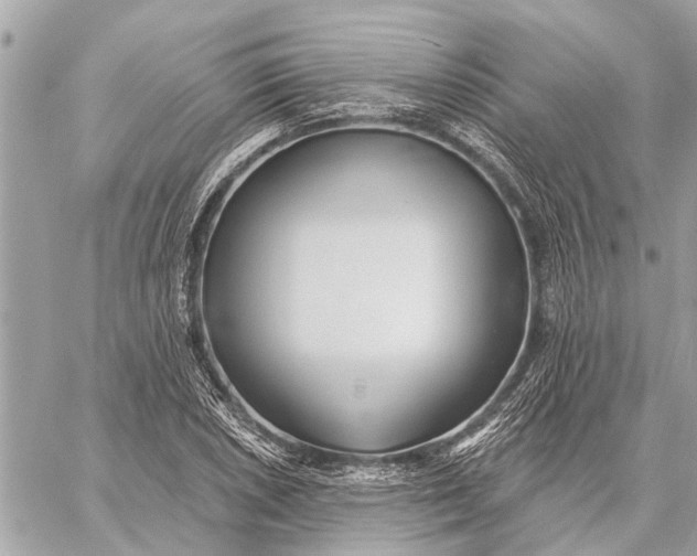 X0000059061026200510281627